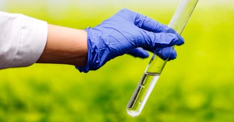 Muestra de agua en un tubo de ensayo sostenido con guante sobre un fondo verde natural